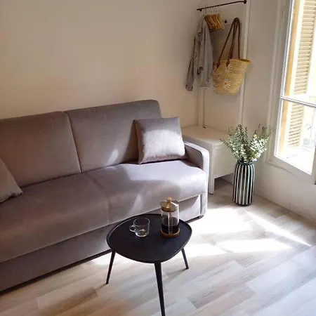 Tres Joli A 150 M De La Apartamento Niza